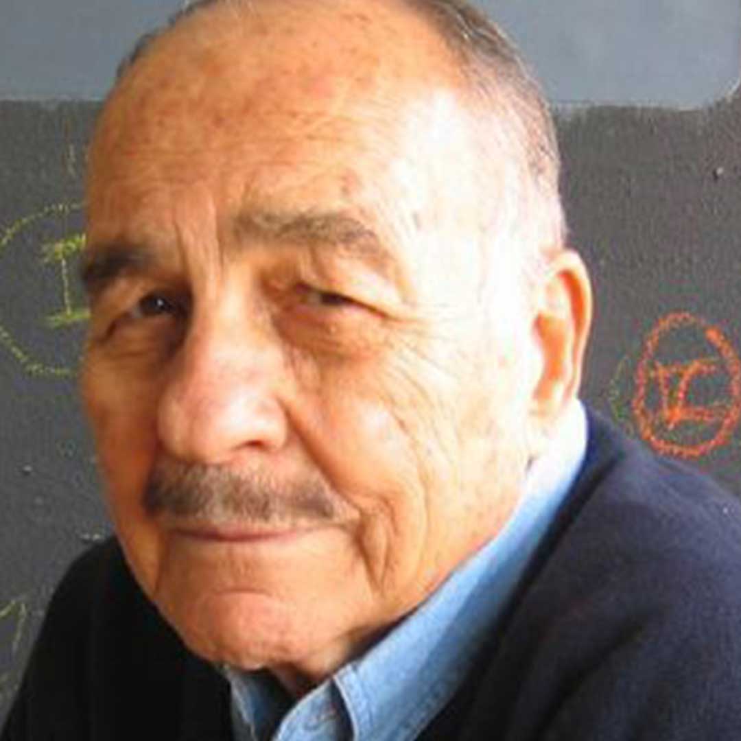 Burhan Doğançay Kimdir